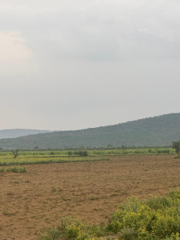  Agricultural Land for Sale in Naugaon, Alwar