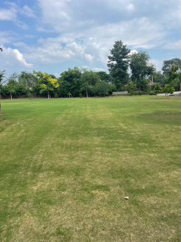  Agricultural Land for Sale in Sohna, Gurgaon