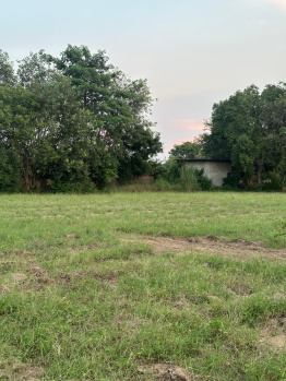 Agricultural Land for Sale in Sohna, Gurgaon