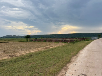  Agricultural Land for Sale in Naugaon, Alwar