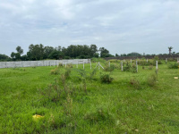  Agricultural Land for Sale in Ferozepur Jhirka, Nuh