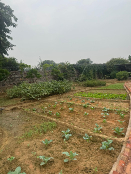 Agricultural Land for Sale in Sohna Road, Gurgaon