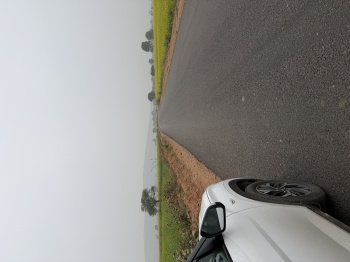  Agricultural Land for Sale in Pahari, Bharatpur