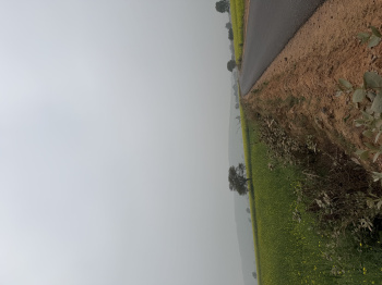  Agricultural Land for Sale in Naugaon, Alwar