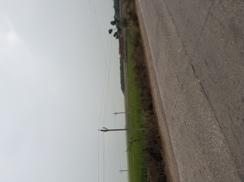  Agricultural Land for Sale in Naugaon, Alwar