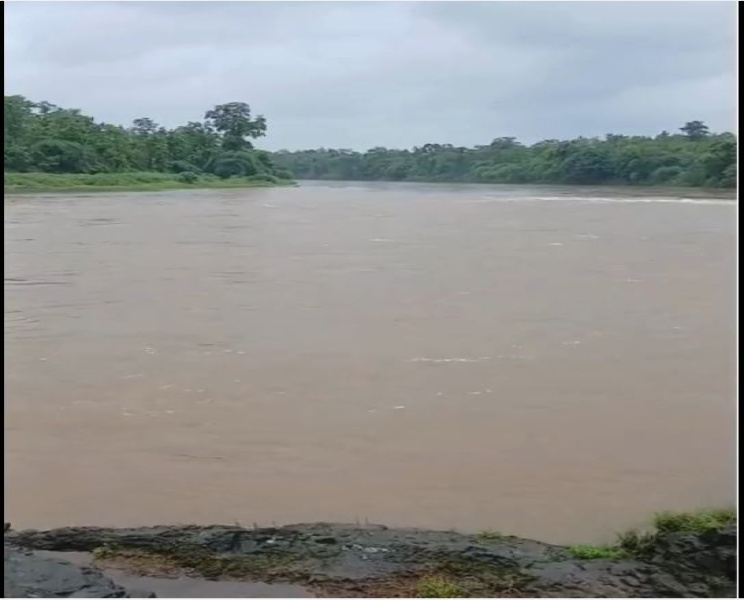  Residential Plot 80 Guntha for Sale in Wada, Palghar
