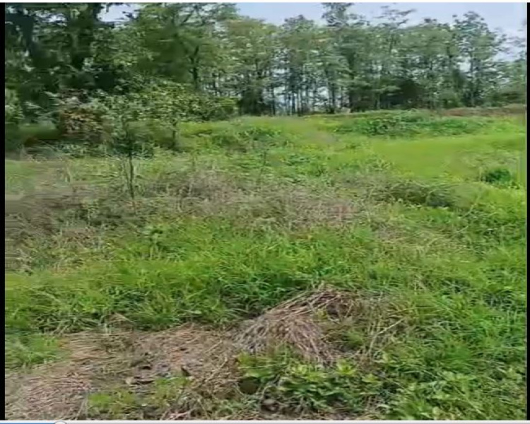  Residential Plot 80 Guntha for Sale in Wada, Palghar