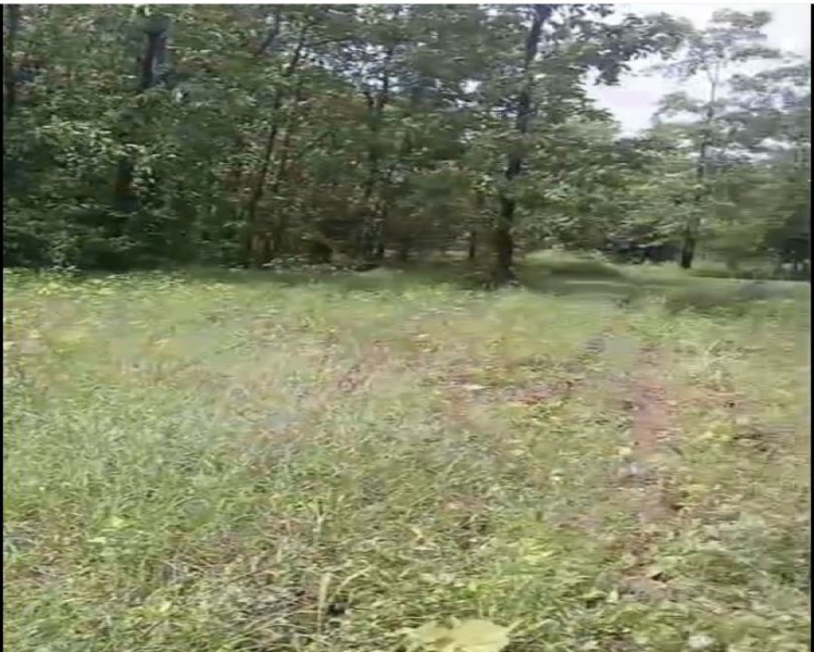  Residential Plot 80 Guntha for Sale in Wada, Palghar
