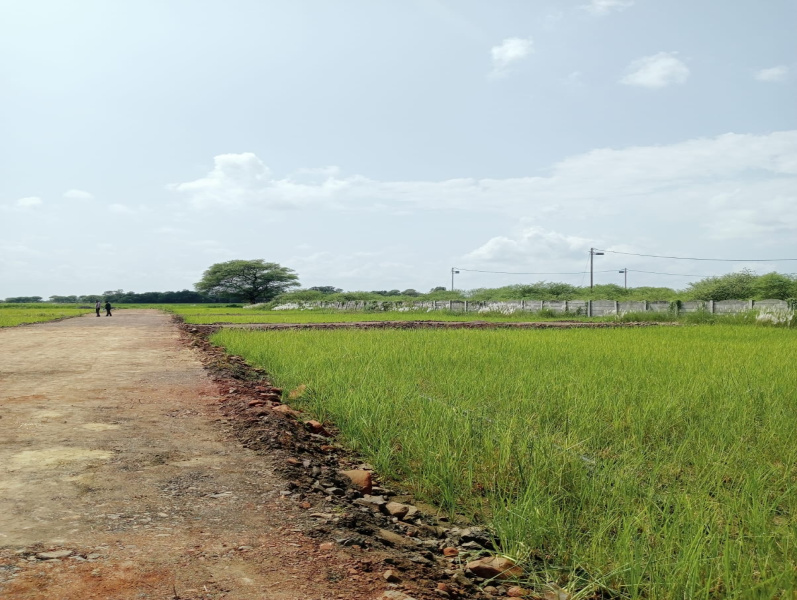  Residential Plot 900 Sq.ft. for Sale in Gora Bazar, Jabalpur