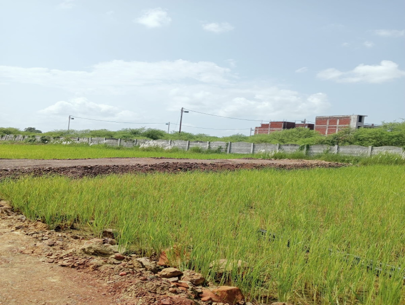  Residential Plot 900 Sq.ft. for Sale in Gora Bazar, Jabalpur