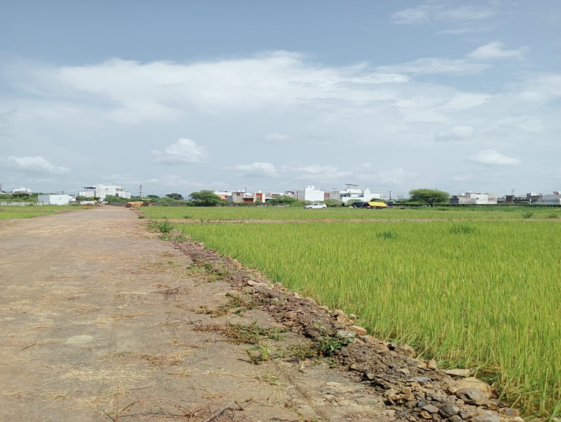  Residential Plot 900 Sq.ft. for Sale in Gora Bazar, Jabalpur
