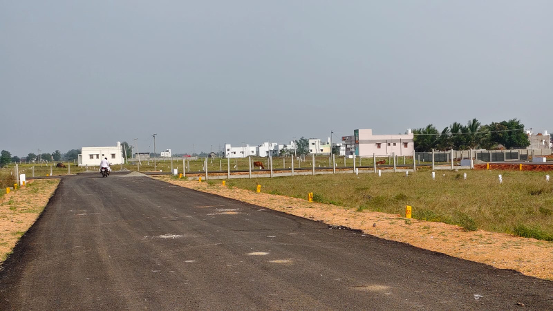  800 Sq.ft. Residential Plot for Sale in Adavathur East, Tiruchirappalli