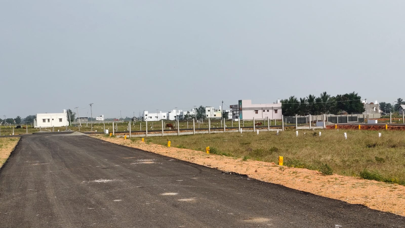  800 Sq.ft. Residential Plot for Sale in Adavathur East, Tiruchirappalli