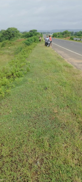  Residential Plot 934 Dismil for Sale in Baikunthpur, Koriya