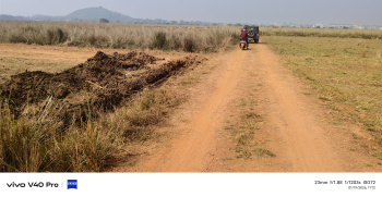  Residential Plot for Sale in Pipili, Puri