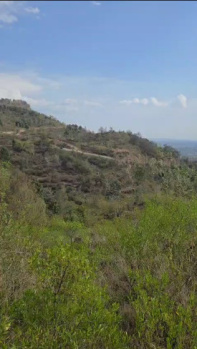  Residential Plot for Sale in Jawalamukhi, Kangra