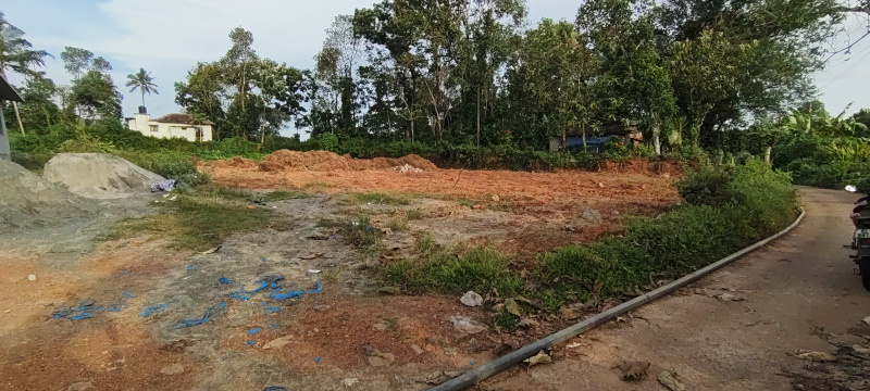  Residential Plot 30 Cent for Sale in Mallappally, Pathanamthitta