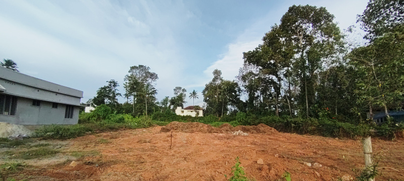  Residential Plot 30 Cent for Sale in Mallappally, Pathanamthitta