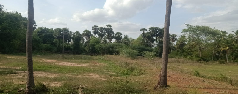  Residential Plot 9592 Sq.ft. for Sale in Kadukkakadu, Pudukkottai