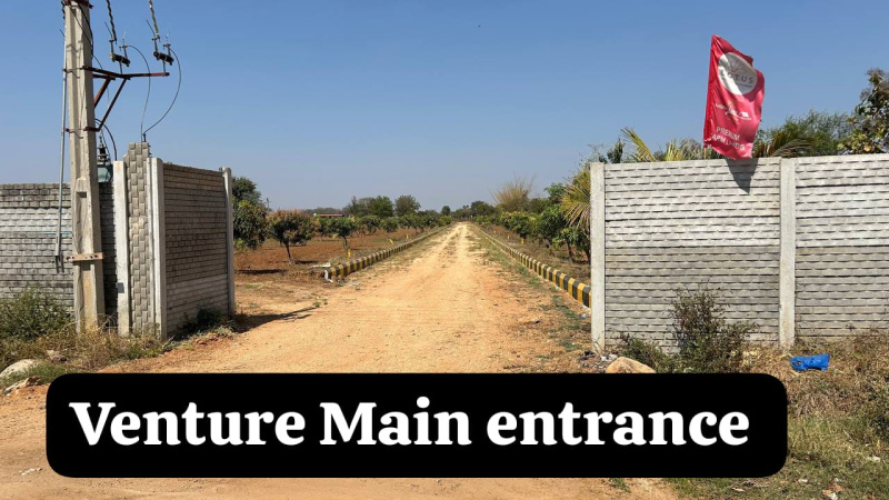  Residential Plot 5 Guntha for Sale in Narayankhed, Sangareddy