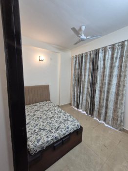 2.5 BHK Builder Floor for Rent in Sohna, Gurgaon