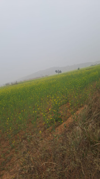 2.5 BHK Farm House for Sale in Deeg, Bharatpur