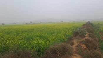 2 BHK Farm House for Sale in Deeg, Bharatpur