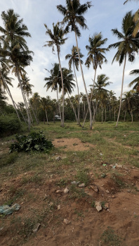  Residential Plot for Sale in Thengapattanam, Kanyakumari