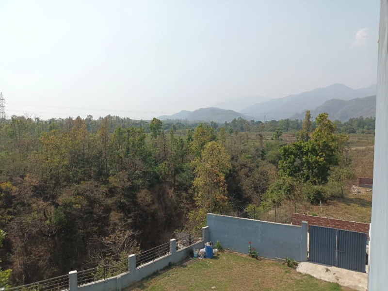  100 Sq. Yards Residential Plot for Sale in Saliyawala, Sahaspur, Dehradun