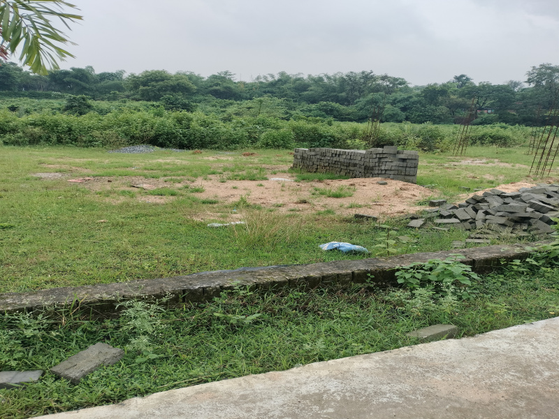  Residential Plot 1500 Sq.ft. for Sale in Amaghata, Dhanbad