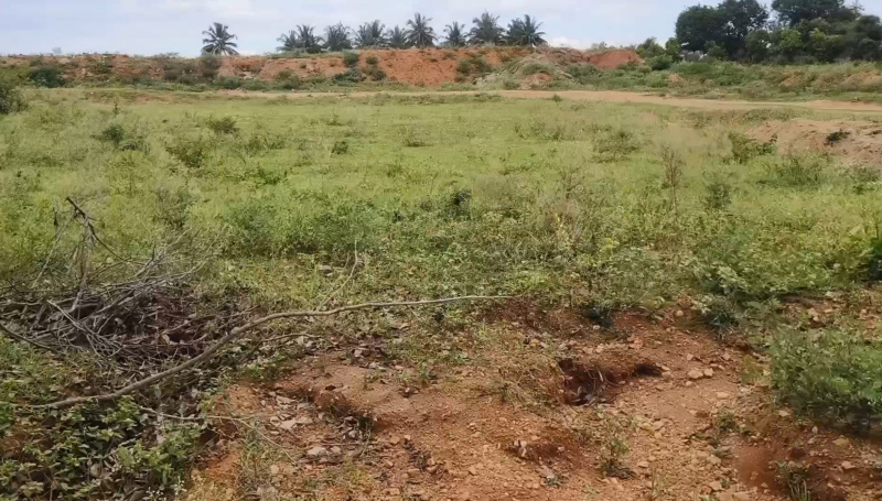  Agricultural Land 50 Cent for Sale in Shoolagiri, Hosur