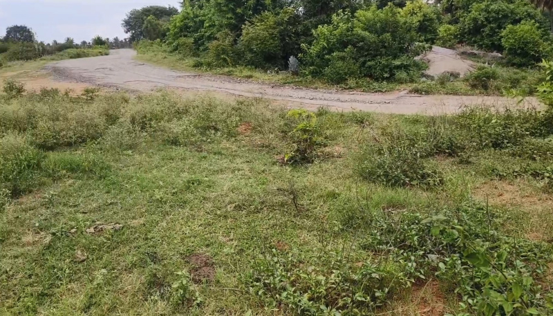  Agricultural Land 50 Cent for Sale in Shoolagiri, Hosur
