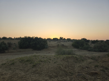 Agricultural Land for Sale in Sam, Jaisalmer
