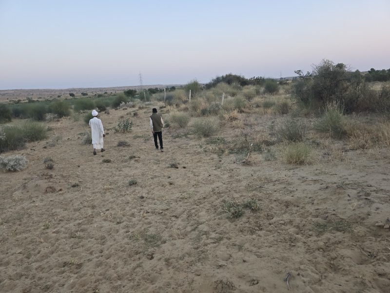  Agricultural Land 37 Bigha for Sale in Sam, Jaisalmer