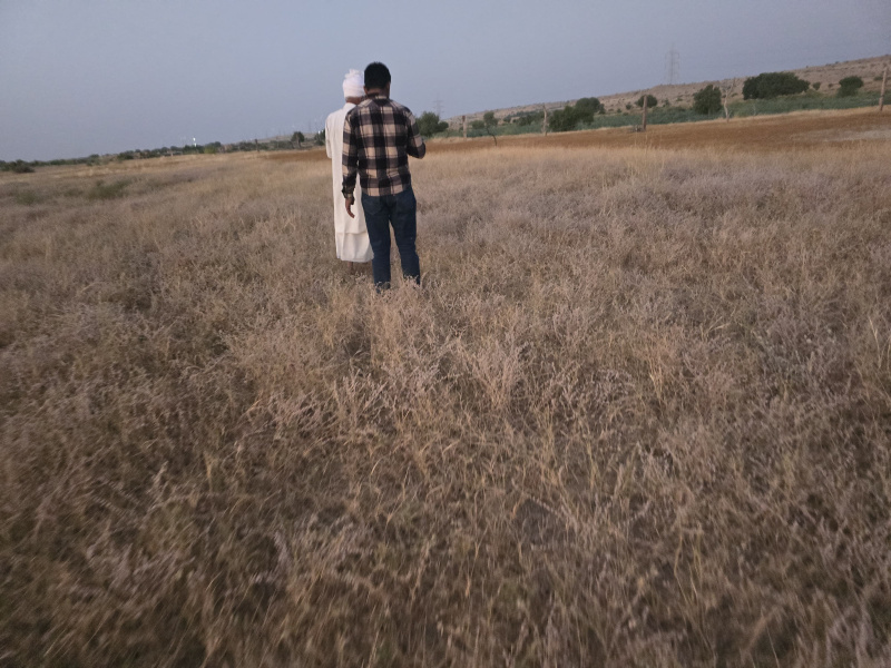  Agricultural Land 37 Bigha for Sale in Sam, Jaisalmer