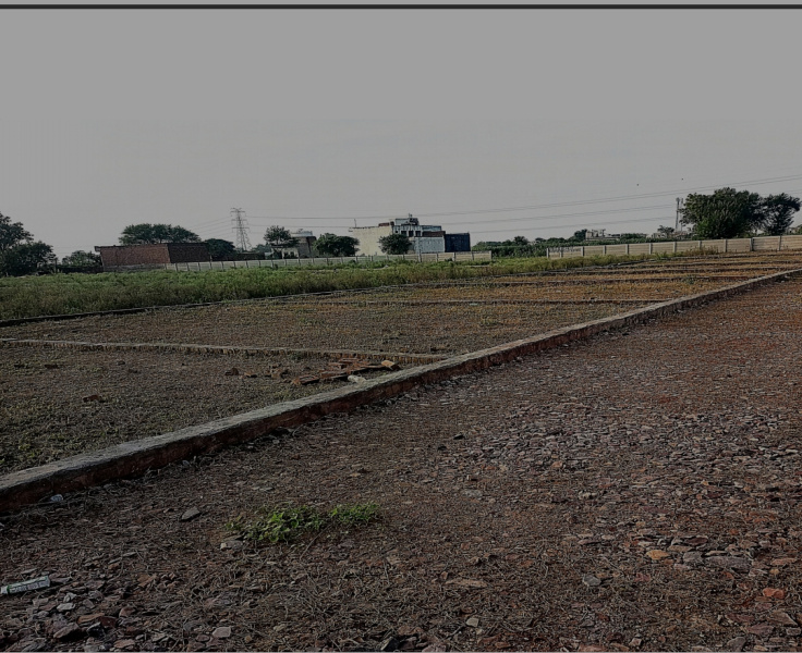  Residential Plot 15 Bigha for Sale in Mewla Gopalgarh, Gautam Buddha Nagar