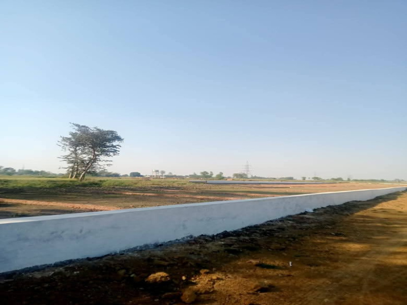  Residential Plot 1000 Sq.ft. for Sale in Maniram, Gorakhpur