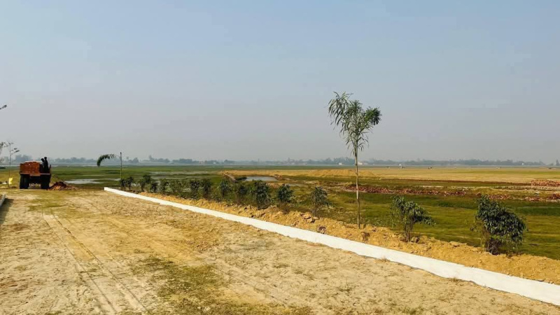  Residential Plot 1000 Sq.ft. for Sale in Maniram, Gorakhpur
