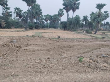  Residential Plot for Sale in Bodh Gaya