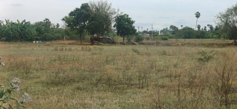  Residential Plot 35 Cent for Sale in Perumanallur, Tirupur