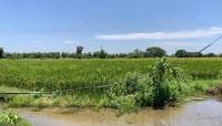  Agricultural Land for Sale in Poraiyar, Nagapattinam