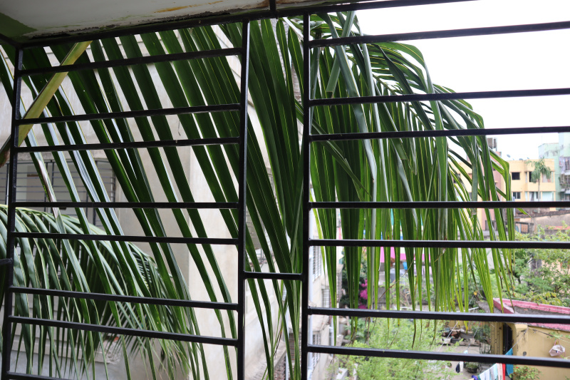 2 BHK Apartment 754 Sq.ft. for Rent in Rajarhat, Kolkata