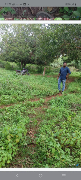  Residential Plot 100 Sq. Yards for Sale in Nunna, Vijayawada