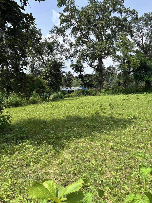  Residential Plot 1500 Sq.ft. for Sale in Daltonganj, Palamu
