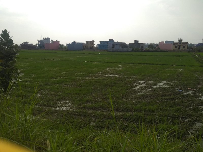  Agricultural Land 14 Bigha for Rent in Peerumadara, Nainital