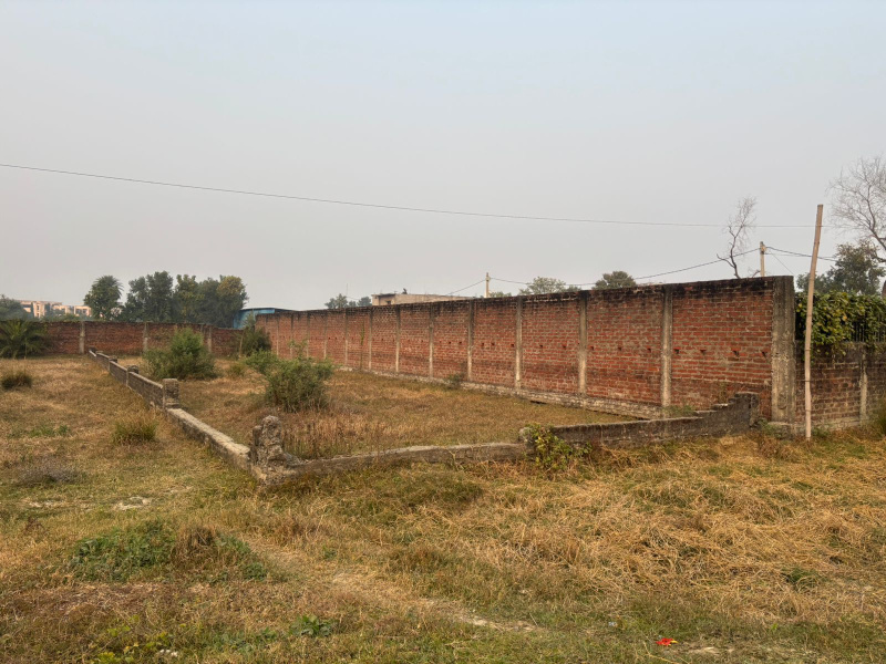  Residential Plot 1360 Sq.ft. for Sale in Bodh Gaya