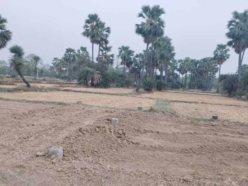  Residential Plot 1360 Sq.ft. for Sale in Bodh Gaya
