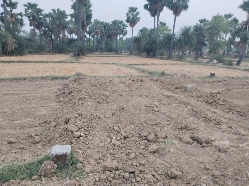  Residential Plot 1360 Sq.ft. for Sale in Bodh Gaya