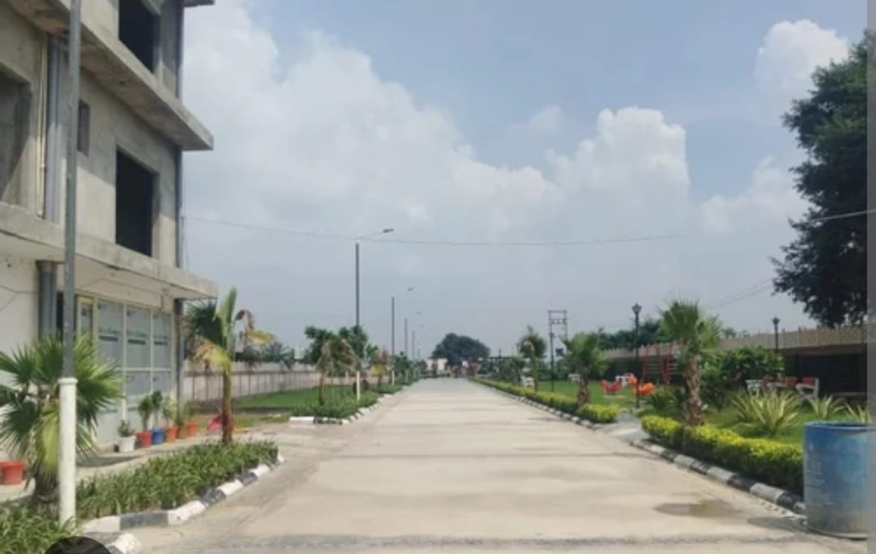 Residential Plot 1224 Sq.ft. for Sale in Undri, Pune