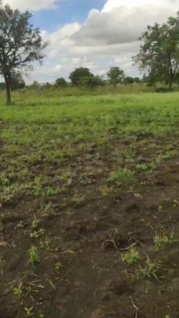  22 Acre Residential Plot for Sale in Kandi, Sangareddy